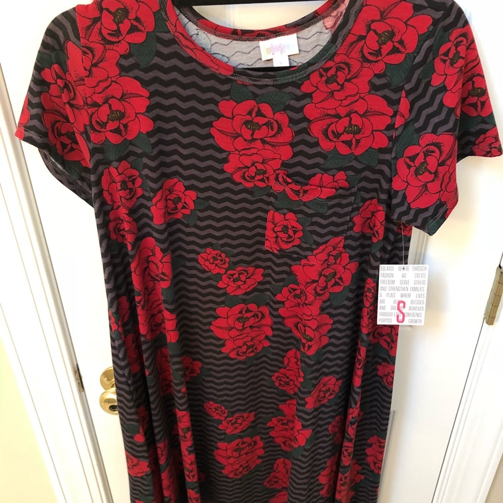 S Carly Lularoe new